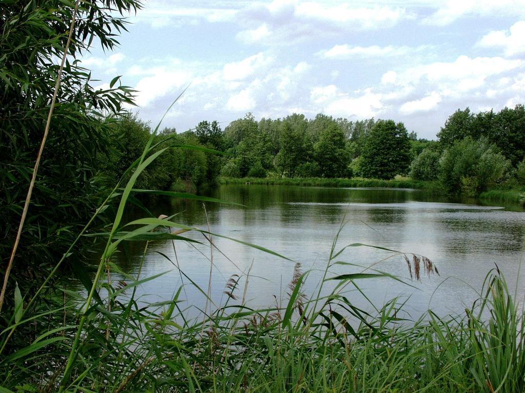 Na Skraju Lasu Ходель Екстер'єр фото